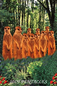 Animal Tarot