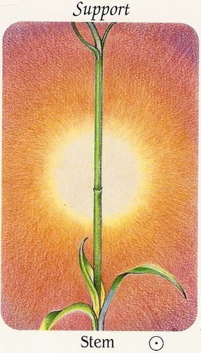 Flower Speaks Deck