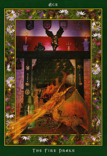 Fairy Ring Oracle