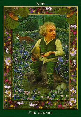 Fairy Ring Oracle