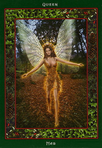 Fairy Ring Oracle