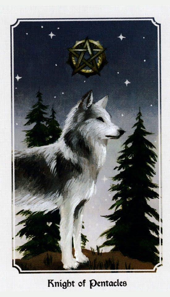 Anima Mundi Tarot