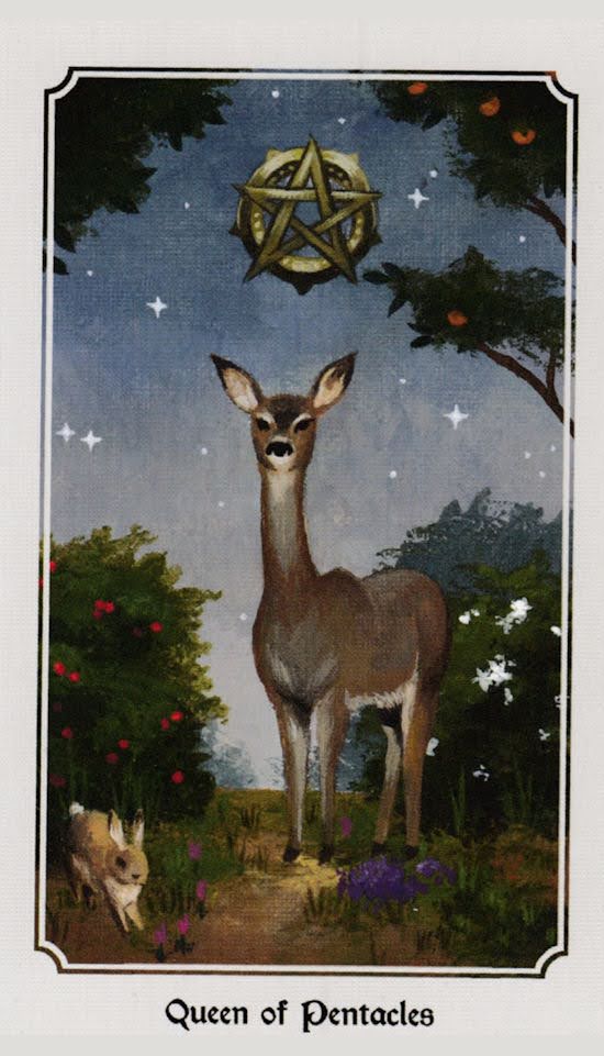 Anima Mundi Tarot