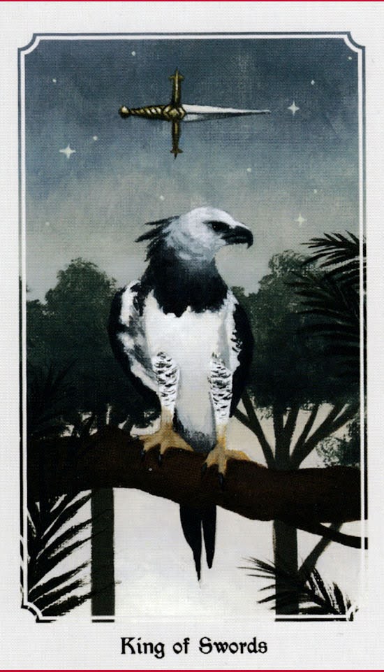 Anima Mundi Tarot