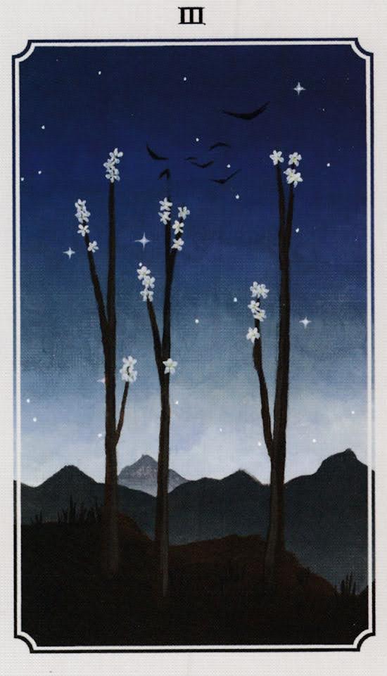 Anima Mundi Tarot