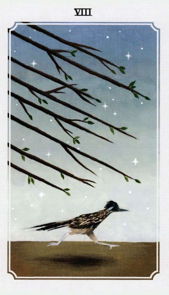 Anima Mundi Tarot