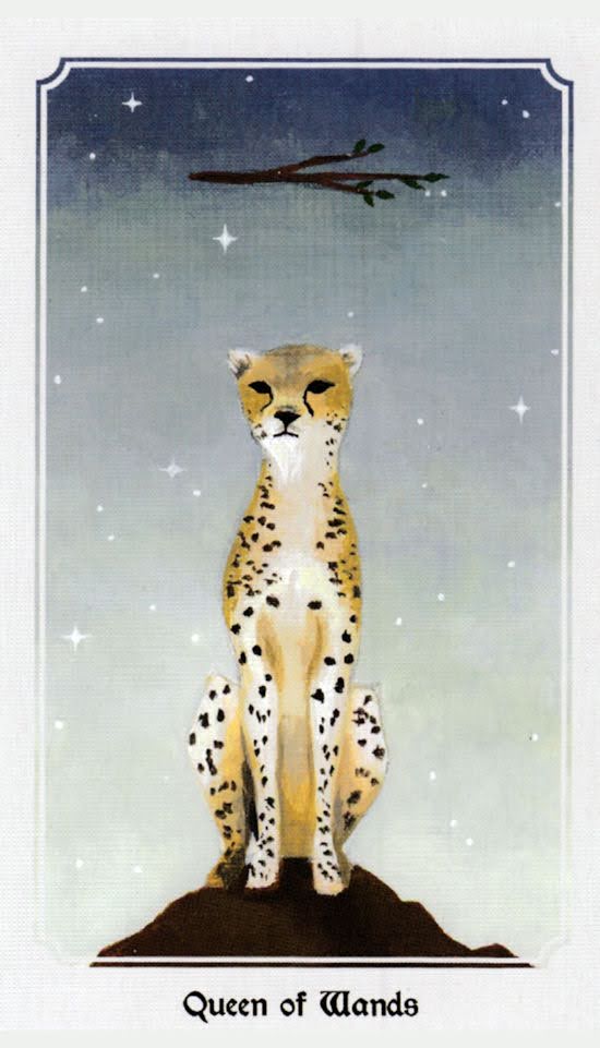 Anima Mundi Tarot