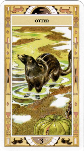 Native American Cards - Laura Tuan & Massimo Rotundo