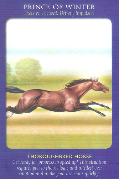 Animal Tarot Cards