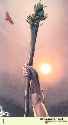 Viceversa Tarot