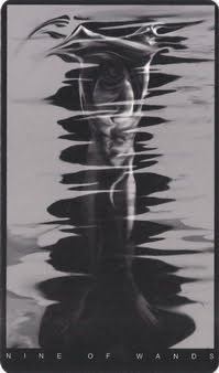 The Black Tarot By Victoria Iva