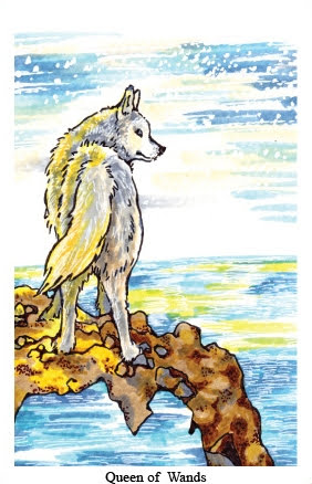 Circle inner animal tarot