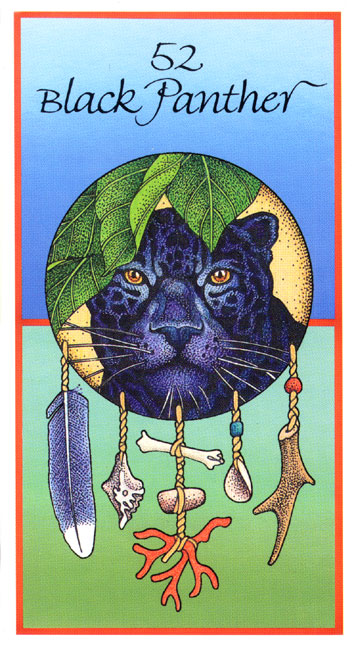 Medicine Cards - Целительные Карты