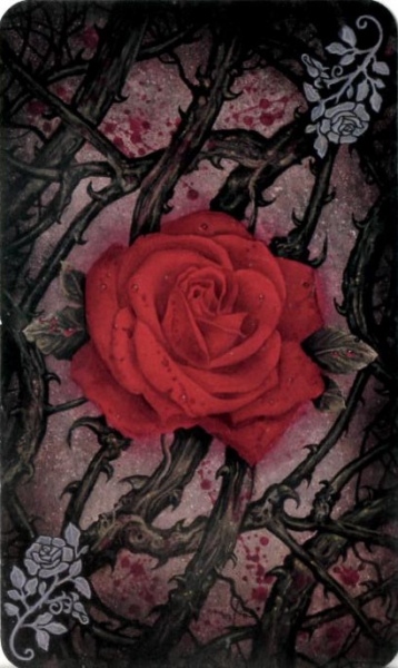 Tarot of Vampires by Ian Daniels