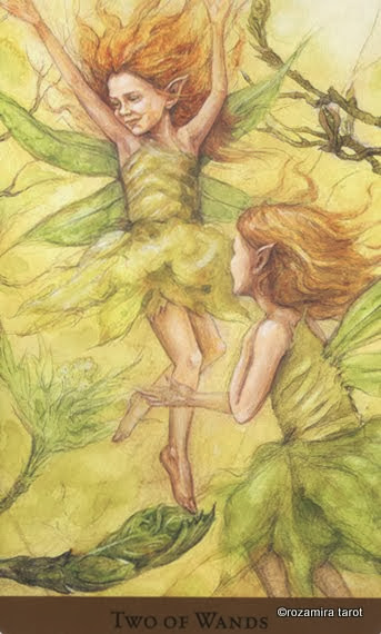 Tarot of the Hidden Realm