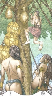 Erotic Fantasy Tarot