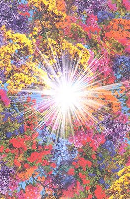 The Chakra Wisdom Tarot