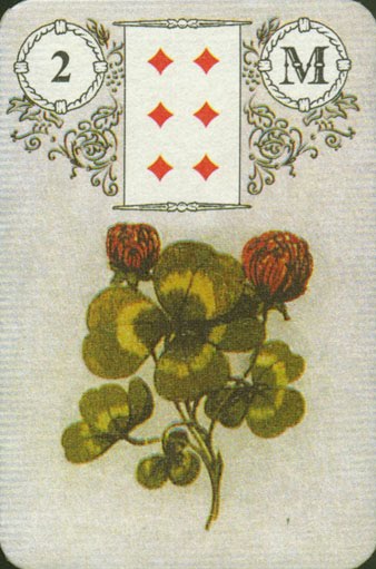 Предсказательные карты мадемуазель Ленорман