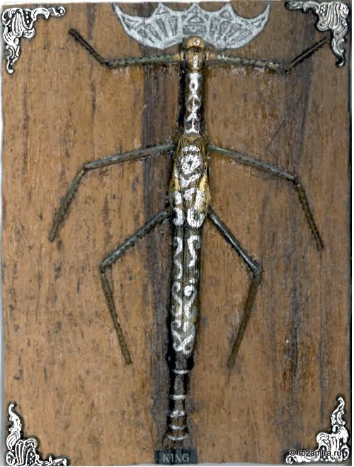 Esmeralda's Silent Tarot