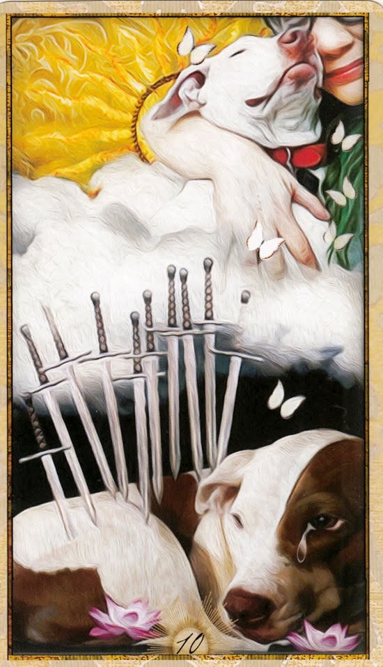 Wise Dog Tarot