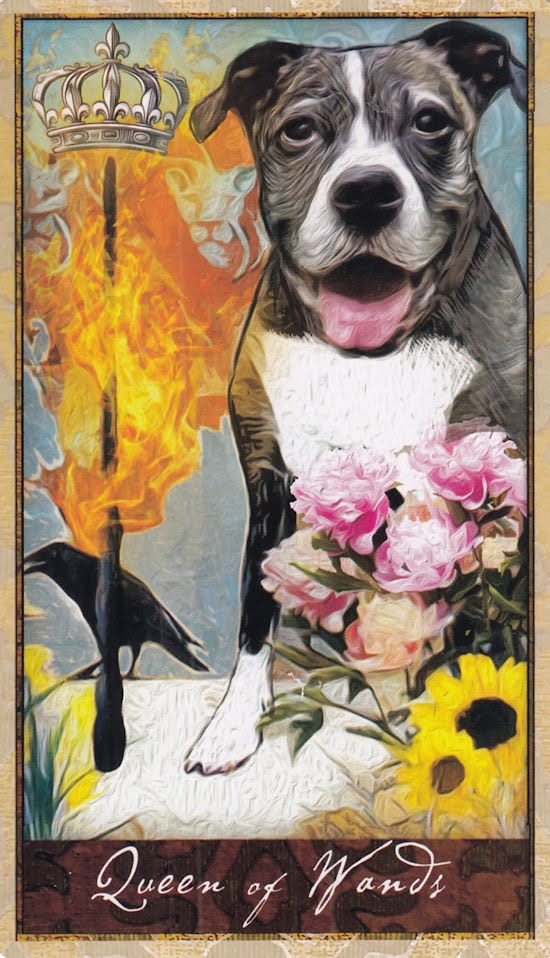 Wise Dog Tarot
