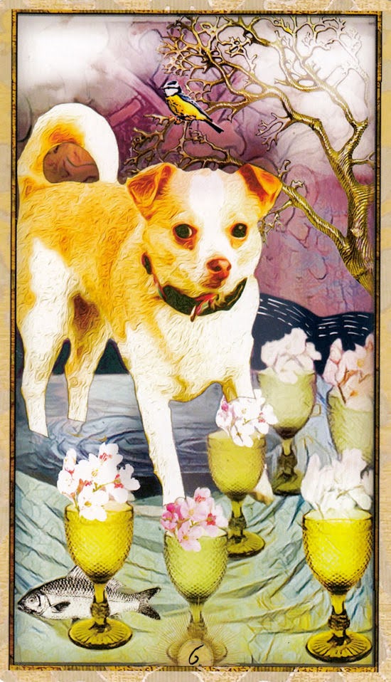 Wise Dog Tarot