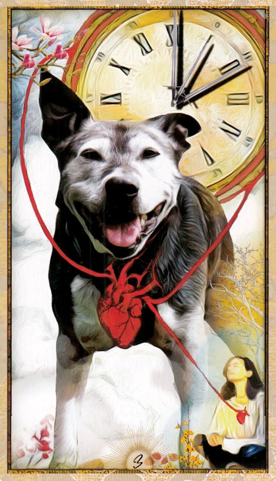 Wise Dog Tarot