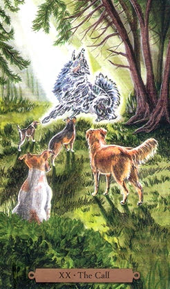 Magical Dogs Tarot - Таро Волшебных Собак