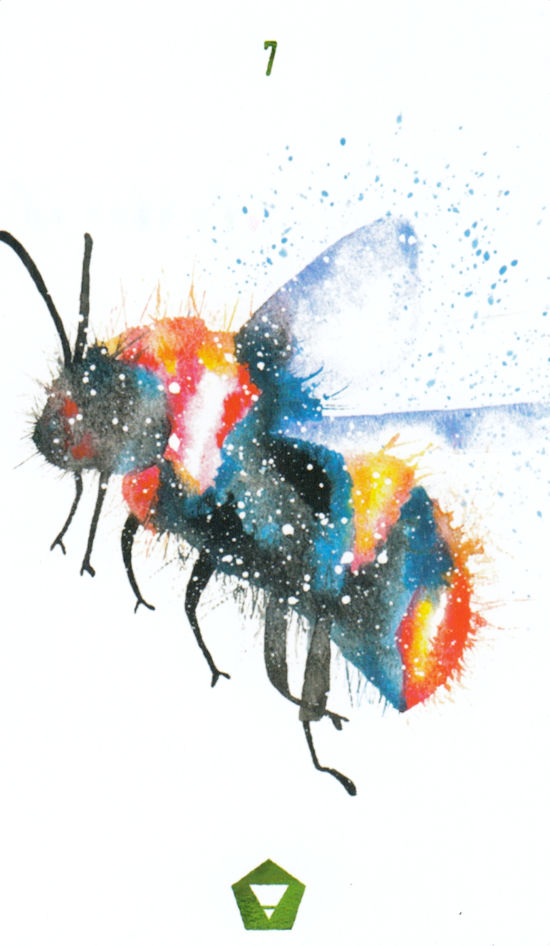 Wild Messengers Alchemical Tarot