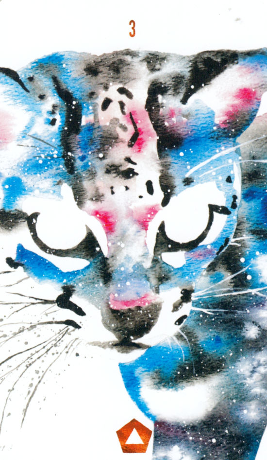 Wild Messengers Alchemical Tarot