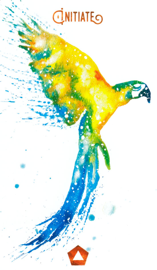 Wild Messengers Alchemical Tarot