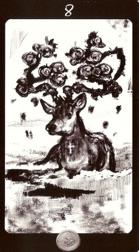 Tarot of the Secret Forest