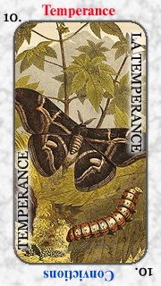 Etteilla Tarots - Apocalipse des Animaux