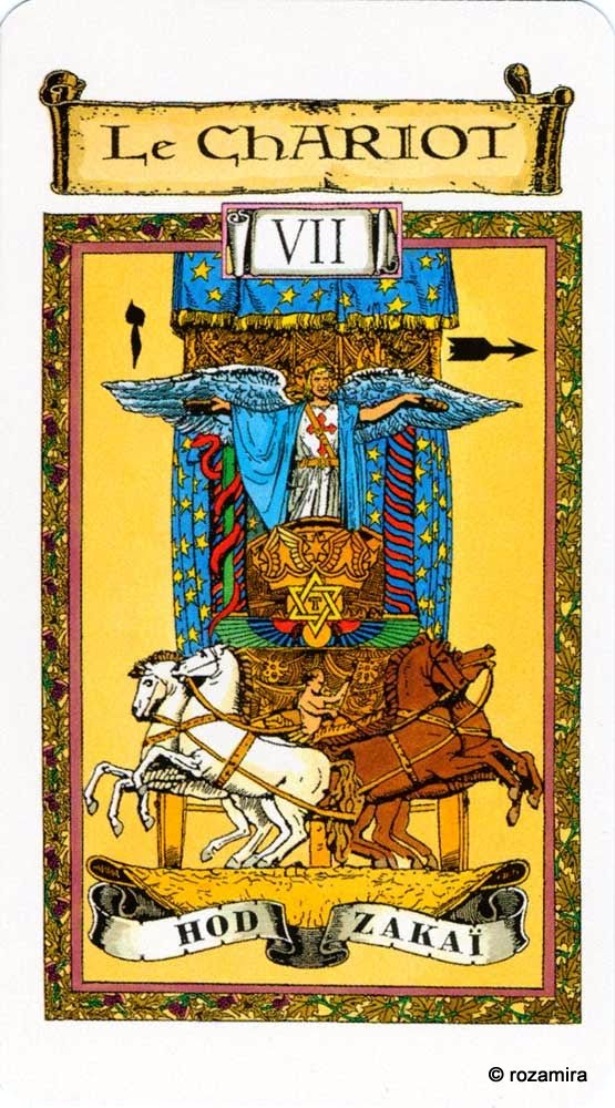 Le tarot des Templiers (Tarot of the Templars) Willy Vassaux