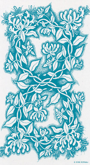 Tarot of the Old Path