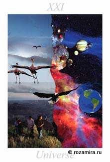 Nature Tarot by Jan Strube