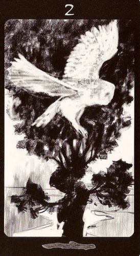 Tarot of the Secret Forest