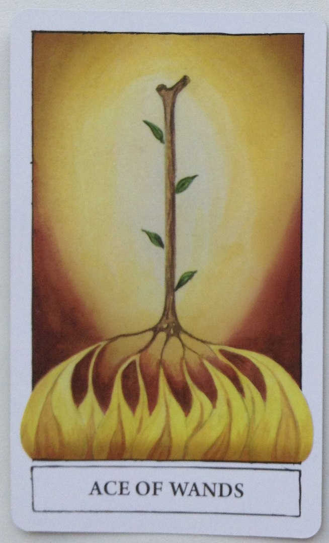 Инсайт Таро