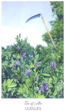 The Herbcrafter’s Tarot