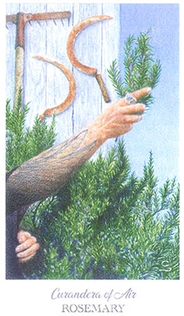 The Herbcrafter’s Tarot