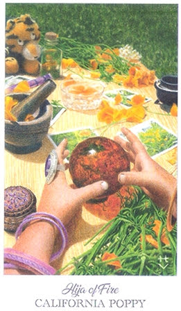 The Herbcrafter’s Tarot