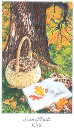 The Herbcrafter’s Tarot