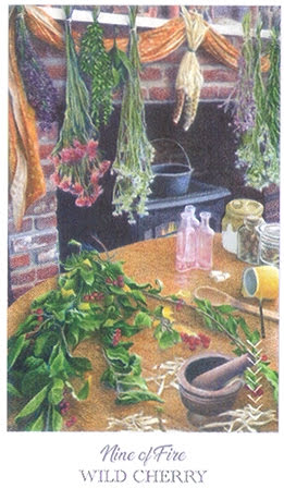 The Herbcrafter’s Tarot