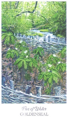 The Herbcrafter’s Tarot