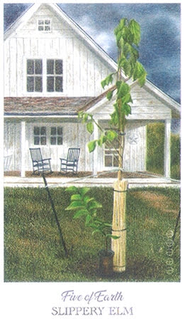 The Herbcrafter’s Tarot