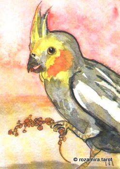 BlueDogRose Tarot by Nakisha VanderHoeven