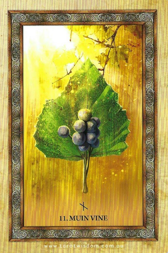 Celtic Tree Oracle - Кельтский Оракул Деревьев