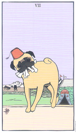 MOPS TAROT