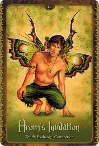 Wild Wisdom of the Faery Oracle - Оракул Дикая Мудрость Фей