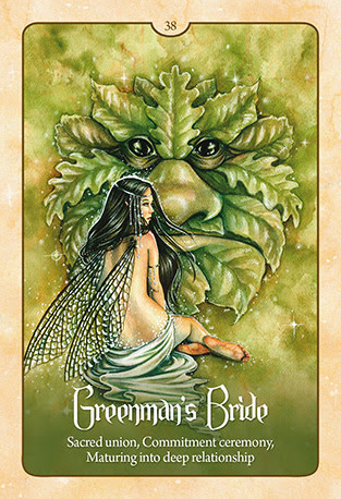 Wild Wisdom of the Faery Oracle - Оракул Дикая Мудрость Фей